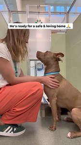Oh sweetie 😭💔 | Puppy Rescue