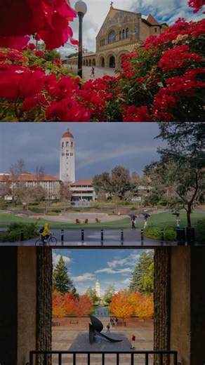 Stanford University on Instagram: "A year at Stanford, frame by frame. From classrooms and labs to campus moments big and small, these images capture the people, places, and ideas that shaped the year. Thank you for being part of it. 📸: Andrew @brodhead"