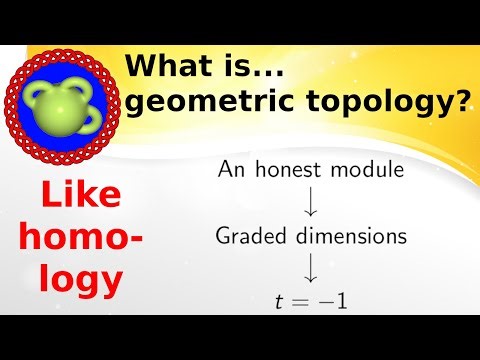 What is...a knot homology?
