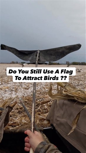 I love the Flappin’ Flag! #fishing #tigermusky #birdhunting #bassfishing #goosehunting #hunting #fyp