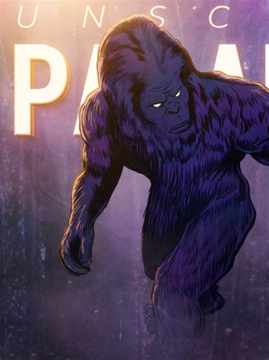 Strange anomalies while filming for The Ghost of Bigfoot documentary. #paranormalinvestigation #bigfoot #mysteries #cryptozoology