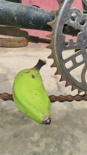 Banana and Cycle #experiment #shorts #trending #viral
