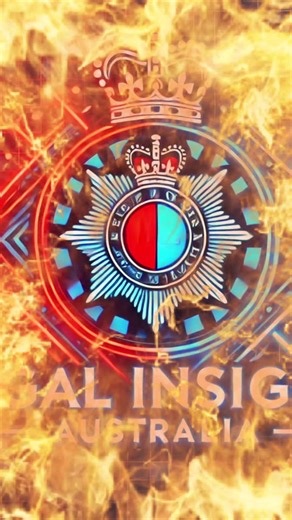 Legal Insight Australia helping individuals navigate the legal system without excessive legal fees.