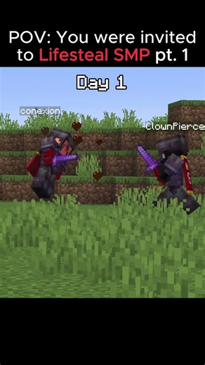 How did we get here?? #minecraft #lifestealsmp