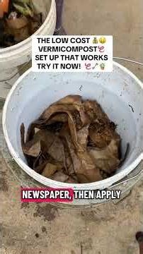 THE SIMPLE AND CHEAP VERMICOMPOST SYSTEM THAT WORKS FASTER #gardening #diygardening #vermicompost