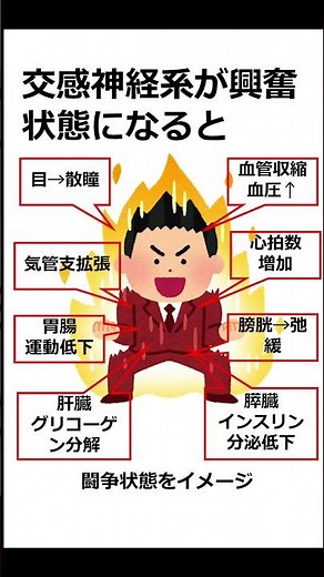 【薬剤師が1分で解説】エフェドリン (前編)【登録販売者試験対策】