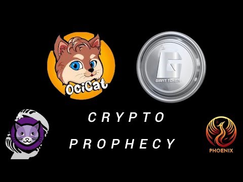 Ocicat Coin, Giant Token, Phoenix Token And NewCat Update – Prophetic Crypto Insights