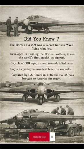 Hitler’s Stealth Jet That Looked Like a UFO 👽✈️ #ww2