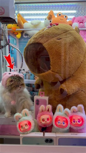 Mystery Treasure Claw Machine Adventure - Day 10