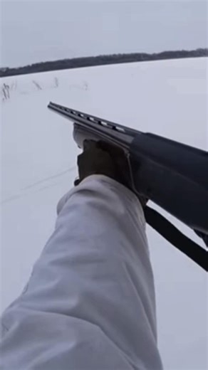 "Охота на кролика 🐇 | Ближайшая атака!"#chasse#amazingrabit#hunting