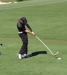 What can we learn from long drivers?