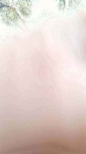 Bagay ba kay Dan Howard Forte!?😁 @topfans | D’Squad Official