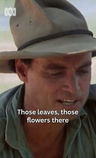 Outback survival tips from the '80s | Bush Tucker Man | Shorts | ABC Australia