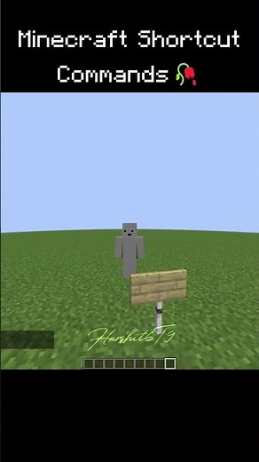 Secret commands in minecraft
