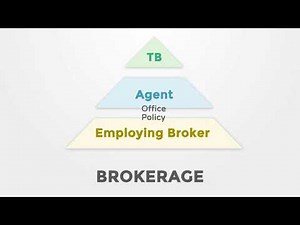 Real Estate Brokerage Relationships in Colorado - Difference Between Real Estate Agent and Broker
