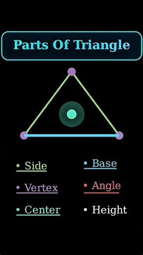 Parts of a Triangle Explained! 📐 Geometry Basics
