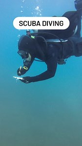Scuba diving #sports #scuba #diving #sea #open #water #highlight | Ghaz Wild