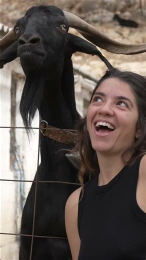 Why This Is the Best Tour in Crete | Safari, Food & Culture