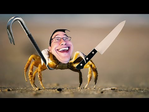 FIGHT CRAB