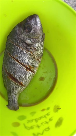 Bis-Moi Live Directe: Événements Togo en Direct