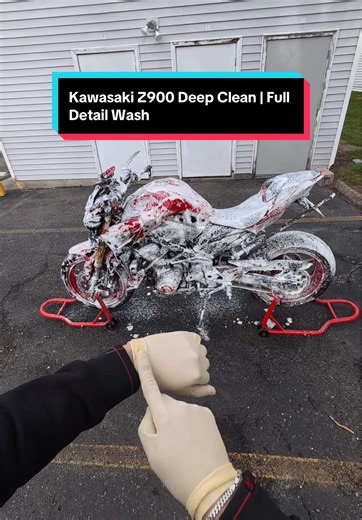 Kawasaki Z900 Deep Cleaning and Detailing Tips
