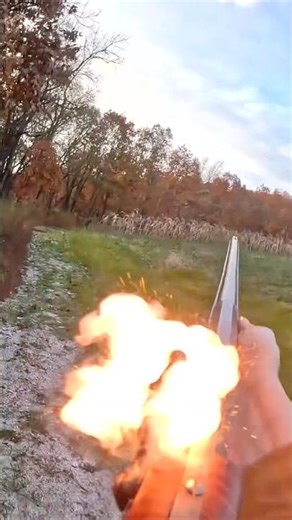 Missed again, the challenges of hunting with a flintlock Fowler