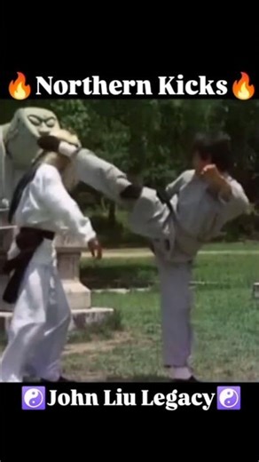 "John Liu | 劉忠良 | Northern Leg | Hwang Jang Lee | 黃正利 | Silver Fox | Secret Rivals | 南拳北腿"