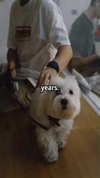 R/pro-revenge Neighbor Harassed My Dog—Then Lost BIG in Court, #reddit #prorevenge #redditstories