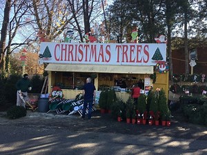 Where To Find 2020 Christmas Tree Sales In Leesburg