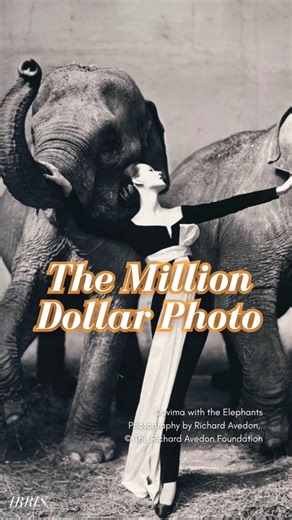 The 1 million dollar photo #Vogue #Dovima #shorts #dianavreeland
