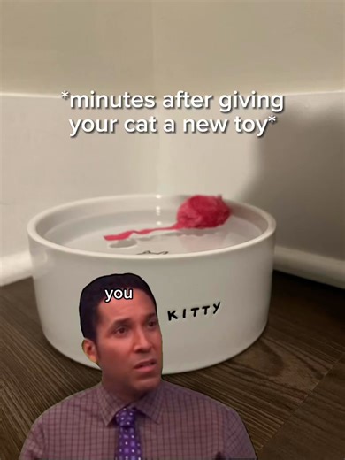 Single. Time. #cats #catthings #catlife | Broccoli The Cat | Facebook