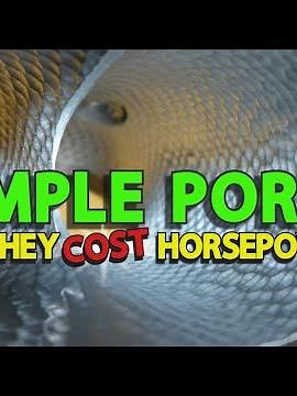 "Dimple Port Intakes! why dimples don't work! How to port #porting #portingpolish