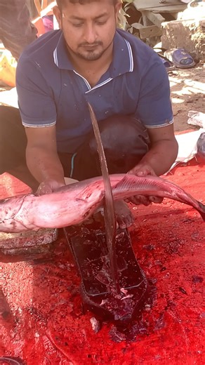 popular village size pangash cutting skills by expert cutter #fish #shorts