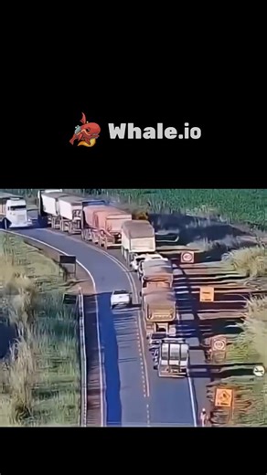 funflix on Instagram: "The X post shares a 18-second dashcam video from rural South Africa depicting a white pickup truck recklessly overtaking a line of trucks across a solid double line, prompting an oncoming truck driver to swerve sharply into the roadside grass to avert a head-on crash. Posted with a raised-eyebrow emoji to convey disbelief, the video has rapidly amassed 1,096 likes and 2.8 million views, sparking replies that laud the truck driver's evasive maneuver as life-saving while con