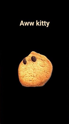 aww kitty explode cookie #meme