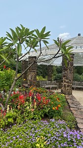 the perfect NJ day trip ✨🌸 📍Deep Cut Gardens Middletown, NJ ✨ Monmouth County NJ Explore this incredible NJ park with 54 acres of trees, flowers and wildlife. This is a slice of magic in NJ 🌸 kid friendly, a perfect spot for a NJ date, walk with your friends, it’s perfect for any occasion. If you’re looking for NJ things to do- this is a perfect way to get outdoors in NJ . . . . #njparks #njthingstodo #njgardens #njthingstodo #njdaytrips #njfarms #njfarm #njbrunch #njrestaurants #njeats #njfo
