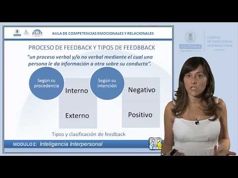 Proceso de Feedback y tipos de Feedback
