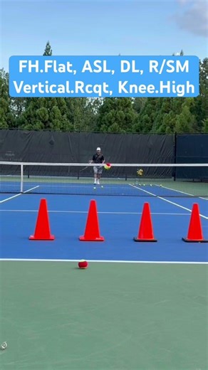 PreBeginner, DS0, Forehand Flat, Vertical Racquet, Knee High, @A2, ASL, DTL, Regular/Slow Motion