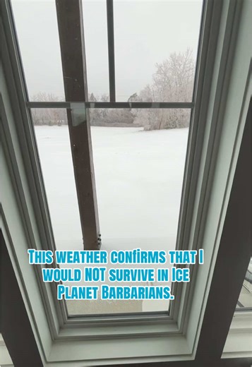 It’s cold, there’s snow everywhere, and freezing rain is coming down. Yep, I wouldn’t survive one chapter. #iceplanetbarbarians #fantasybooks #bookishhumor #reader #snowday
