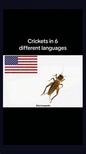 A cricket 🦗 is a small insect best known for its loud chirping sound, especially during the night. This sound is produced by male crickets when they rub their wings together — a process called “stridulation” — to attract females. Interestingly, the speed of their chirping changes with temperature, and scientists can even estimate the air temperature by counting the chirps. These tiny nighttime musicians are a fascinating part of nature! 🌿✨ follow @factzzopedia for more ❤️ . . #cricket #cricket