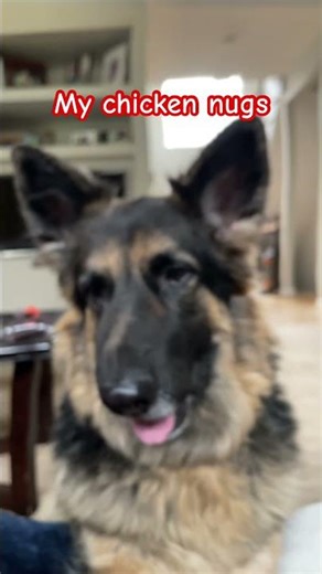 There mine bro 🤣 hhehehee