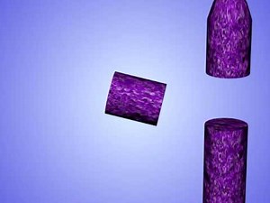 Chromosome Abnormalities