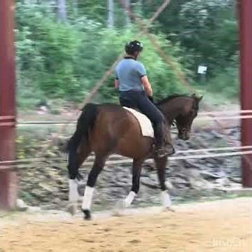 Contendro x diamant