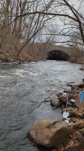 The Neponset River near Blue Hill Ave, Mattapan, Massachusetts