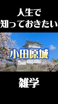 天下の名城 小田原城の秘密の雑学