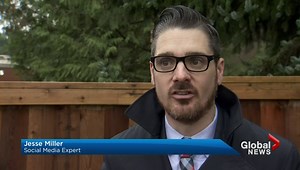 Disturbing Content: Owners of abused cat criticize vigilante reaction