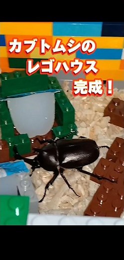レゴで作った、カブトムシの家