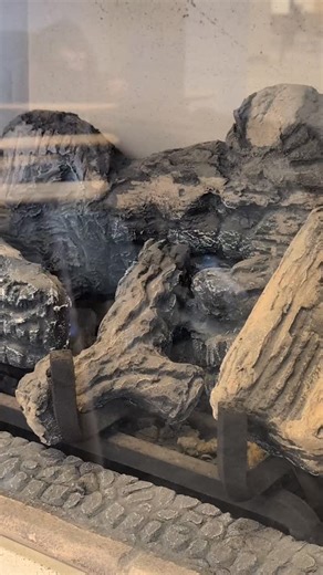 The fireplaces are lit and the vibes are cozy. All that's missing is you and a good book. | North Richland Hills Library