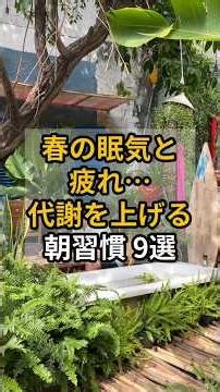 春の眠気と疲れ… 代謝を上げる朝習慣 9選 #健康 #雑学 #shrots #春 #ルーティン #代謝