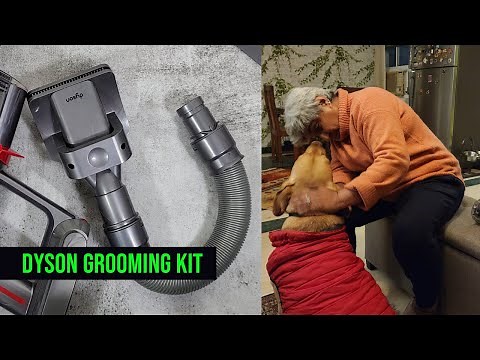 Dyson Grooming Kit | How to use the Pet Grooming Kit on Your Dyson Cordless Vacuum